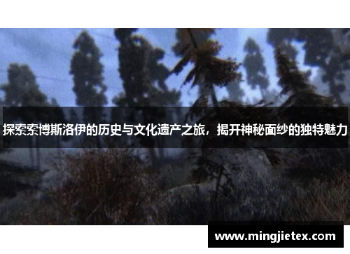 探索索博斯洛伊的历史与文化遗产之旅，揭开神秘面纱的独特魅力